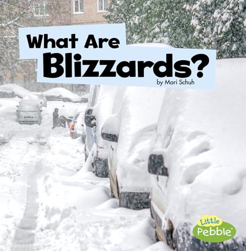 Imagen de archivo de What Are Blizzards? (Hardcover) a la venta por Grand Eagle Retail