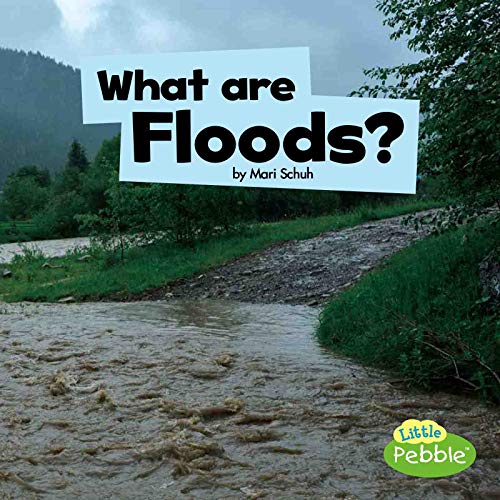 Beispielbild fr What Are Floods? zum Verkauf von Better World Books