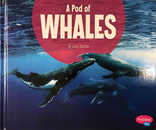 Beispielbild fr A Pod of Whales zum Verkauf von Better World Books