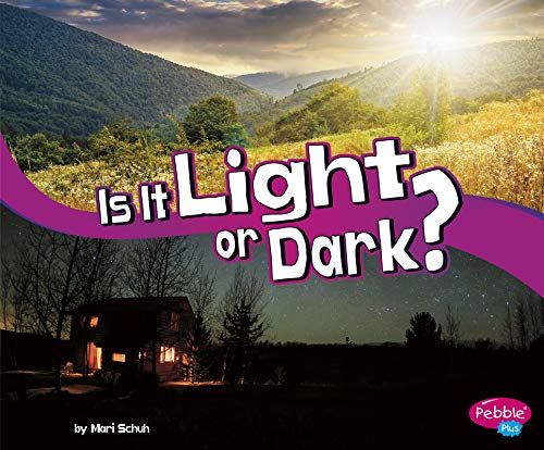 9781977110404: Is It Light or Dark? (Let's Look at Light)