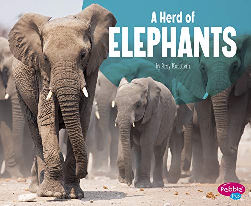 Beispielbild fr A Herd of Elephants (Animal Groups) zum Verkauf von Wonder Book