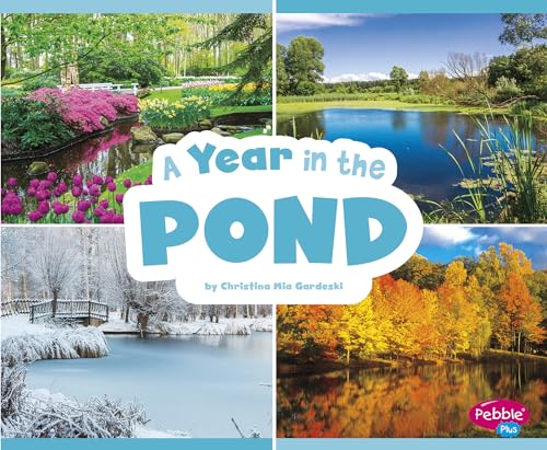 Stock image for A Year in the Pond (Season to Season) for sale by HPB-Diamond
