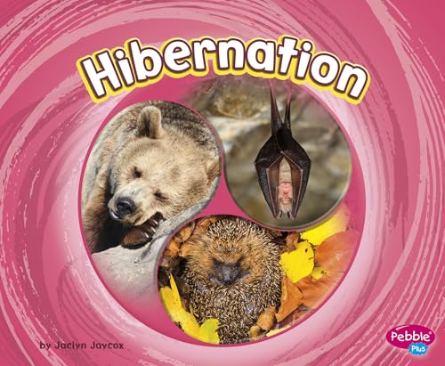 Stock image for Hibernation for sale by ThriftBooks-Dallas