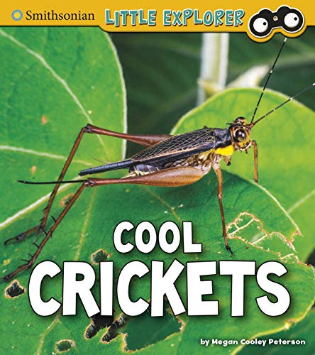 9781977117892: Cool Crickets (Smithsonian Little Explorer: Little Entomologist)