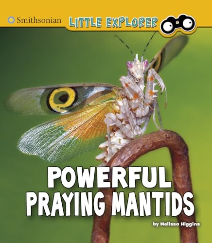 9781977117908: Powerful Praying Mantids (Little Entomologist 4D)