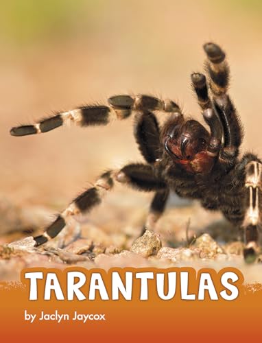 Stock image for Tarantulas for sale by ThriftBooks-Dallas