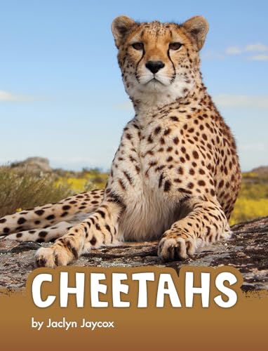 Stock image for Cheetahs for sale by ThriftBooks-Atlanta