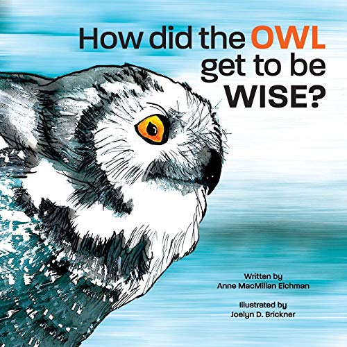 Beispielbild fr How Did the Owl Get to Be Wise zum Verkauf von Reuseabook