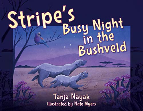 9781977235077: Stripe's Busy Night in the Bushveld