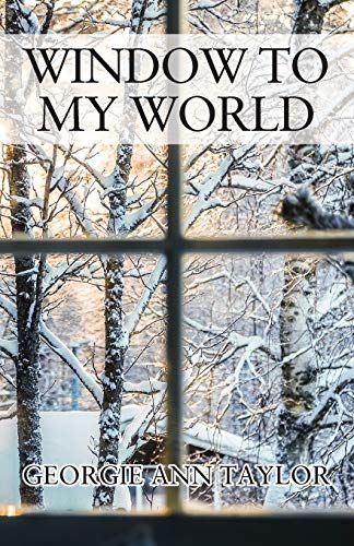 9781977235121: Window To My World