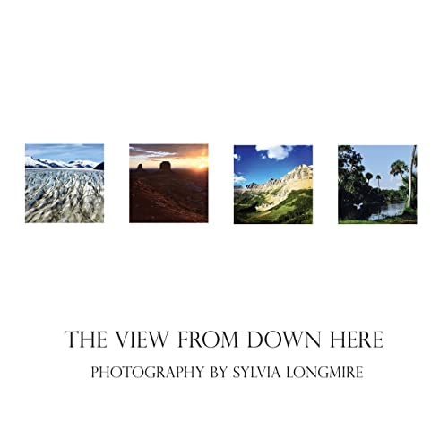 Imagen de archivo de The View from Down Here: Photography by Sylvia Longmire a la venta por -OnTimeBooks-