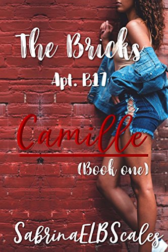 Stock image for Apt. B17: Camille: Volume 1 (The Bricks) for sale by Revaluation Books