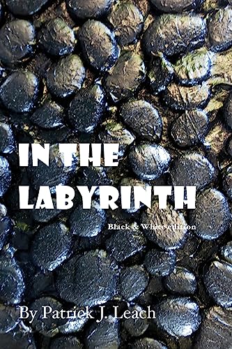 Beispielbild fr In the Labyrinth (B&W Edition) [Soft Cover ] zum Verkauf von booksXpress