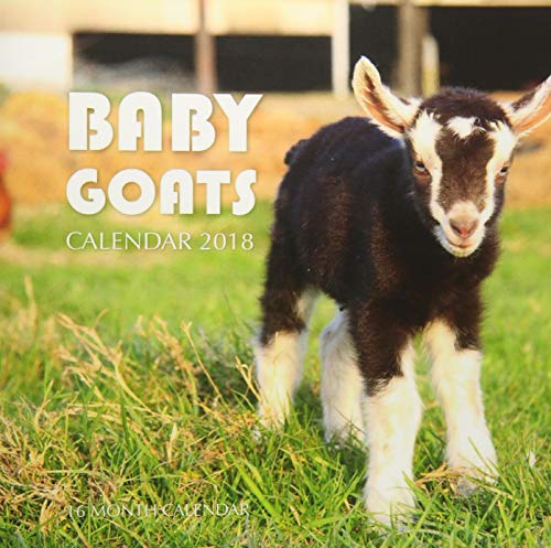 Stock image for Baby Goats Calendar 2018: 16 Month Calendar for sale by Ergodebooks