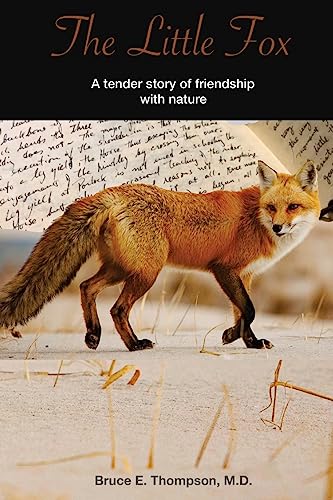 Stock image for The Little Fox for sale by THE SAINT BOOKSTORE