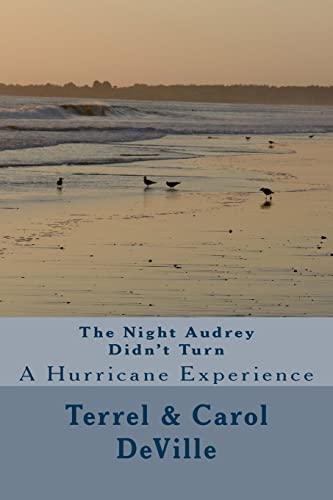 Stock image for The Night Audrey Didn't Turn: A Hurricane Experience for sale by Save With Sam