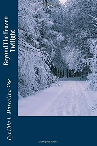 Beispielbild fr Beyond The Frozen Twilight: A Collection of New and Revised Poems. zum Verkauf von Revaluation Books