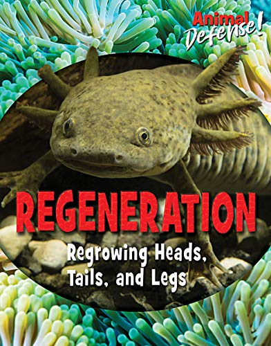 Beispielbild fr Regeneration: Regrowing Heads, Tails, and Legs (Animal Defense!) zum Verkauf von Irish Booksellers