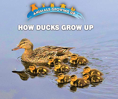 Beispielbild fr How Ducks Grow Up zum Verkauf von Better World Books