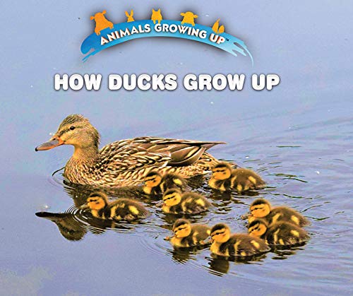 Imagen de archivo de How Ducks Grow Up (Animals Growing Up) a la venta por HPB-Ruby