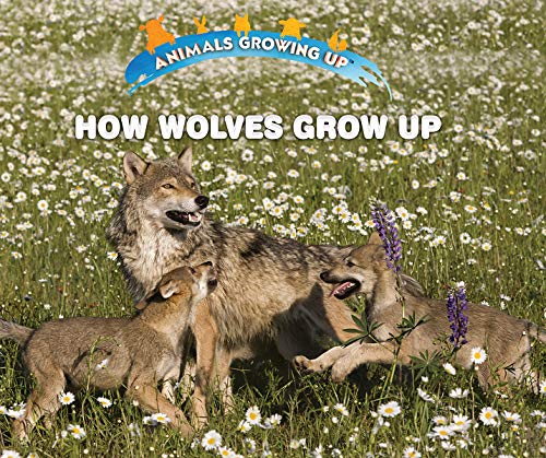 Imagen de archivo de How Wolves Grow Up (Animals Growing Up) a la venta por Buchpark