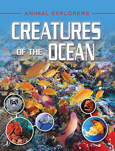 Imagen de archivo de CREATURES OF THE OCEAN (Animal Explorers) a la venta por Buchpark