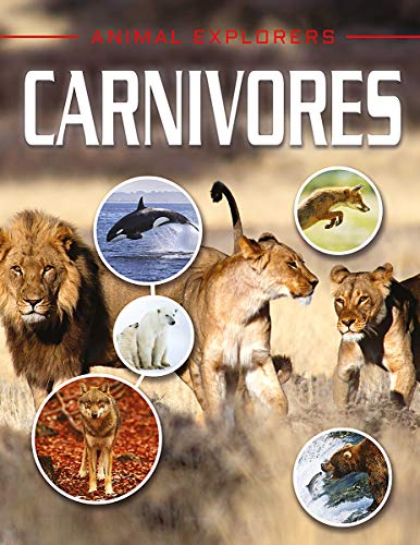 Beispielbild fr Carnivores (Animal Explorers) zum Verkauf von Reuseabook