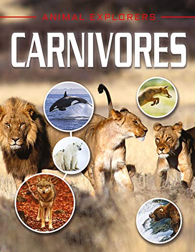 9781978509832: Carnivores (Animal Explorers)