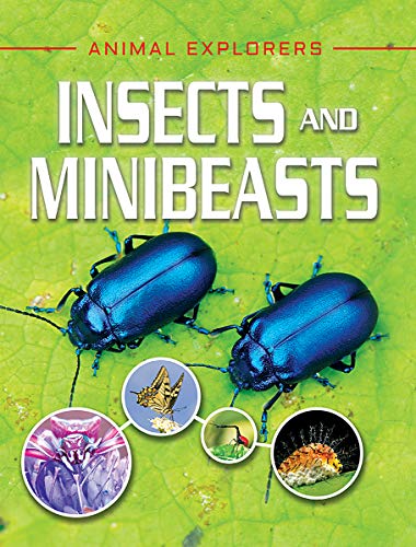 Imagen de archivo de Insects and Minibeasts (Animal Explorers) a la venta por Buchpark