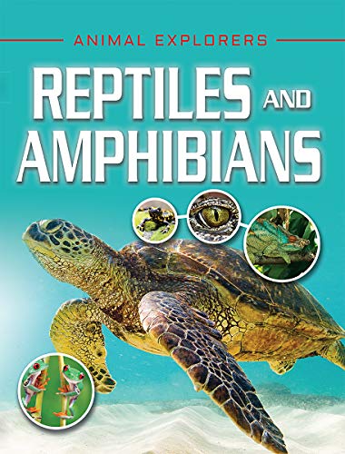 Reptiles and Amphibians (Animal Explorers) - Hibbert, Clare