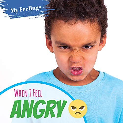 Imagen de archivo de When I Feel Angry (My Feelings) a la venta por Buchpark