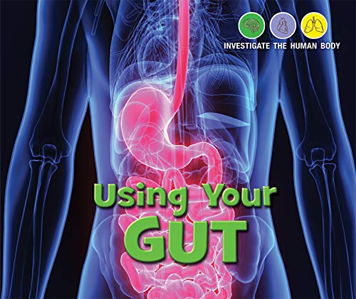 9781978512955: Using Your Gut (Investigate the Human Body)