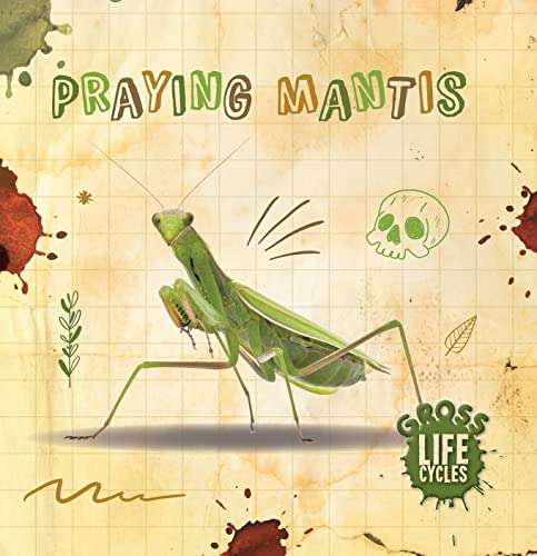 Imagen de archivo de Praying Mantis (Gross Life Cycles) a la venta por PlumCircle