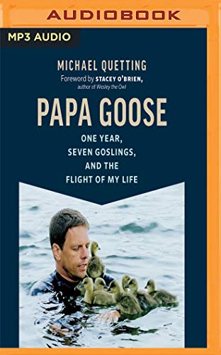 Stock image for Papa Goose: One Year, Seven Goslings, and the Flight of My Life for sale by Revaluation Books