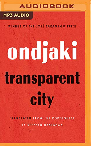 Beispielbild fr Transparent City zum Verkauf von Revaluation Books
