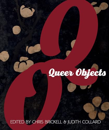 9781978801707: Queer Objects