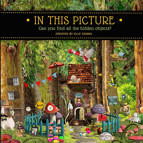9781979061575: In This Picture: Can you find all the hidden objects?