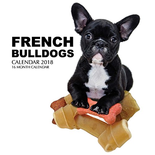 Stock image for French Bulldogs Calendar 2018: 16 Month Calendar for sale by MusicMagpie