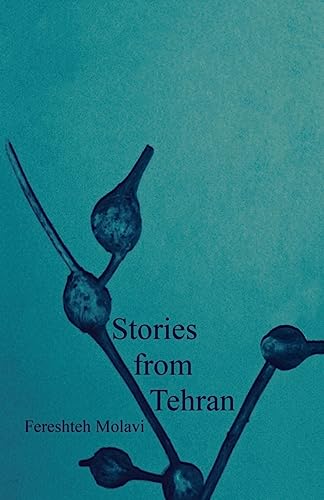 Stock image for Stories from Tehran for sale by THE SAINT BOOKSTORE