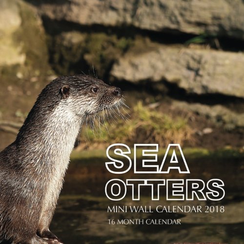 Stock image for Sea Otters Mini Wall Calendar 2018: 16 Month Calendar for sale by Revaluation Books