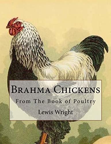 Beispielbild fr Brahma Chickens: From The Book of Poultry [Soft Cover ] zum Verkauf von booksXpress