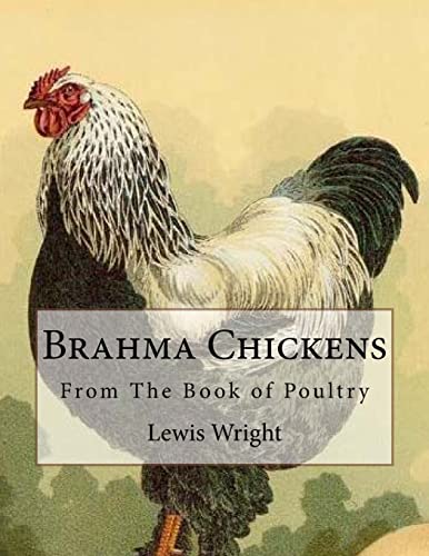 Imagen de archivo de Brahma Chickens: From The Book of Poultry [Soft Cover ] a la venta por booksXpress