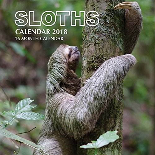 9781979418706: Sloths Calendar 2018: 16 Month Calendar