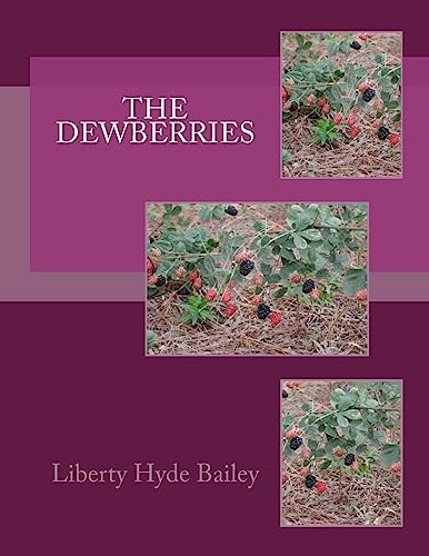 9781979453868: The Dewberries