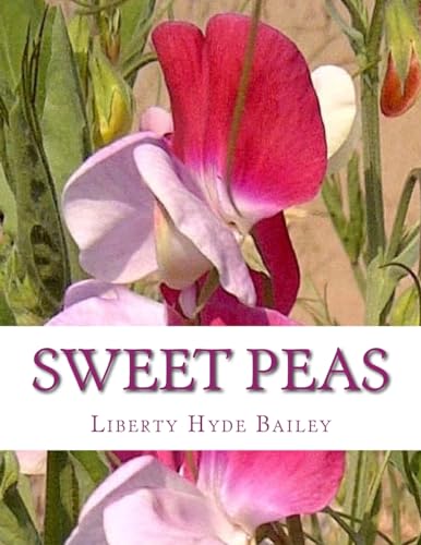 Beispielbild fr Sweet Peas zum Verkauf von Lucky's Textbooks