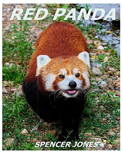 Stock image for Red Panda: Learn About Red Pandas-Amazing Pictures & Fun Facts (Amazing Nature Childrens Books) for sale by SecondSale