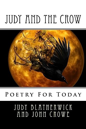 Stock image for Judy And The Crow for sale by Lucky's Textbooks