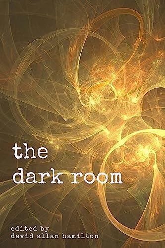 Stock image for The Dark Room: A Poetry Anthology for sale by ALLBOOKS1