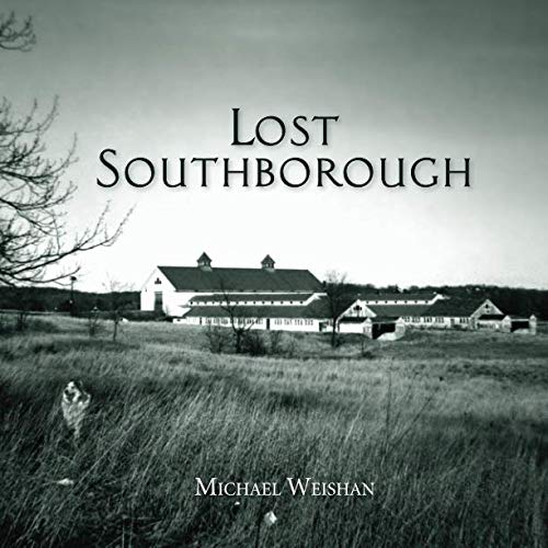 Stock image for Lost Southborough: Views into Our Forgotten Past for sale by SecondSale