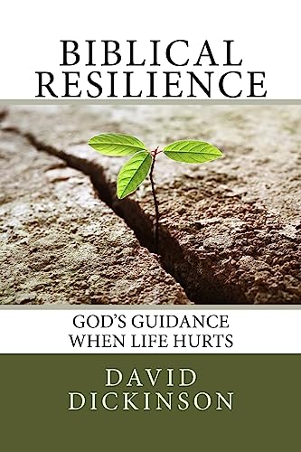 Stock image for Biblical Resilience for sale by Red's Corner LLC